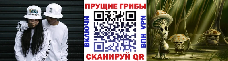 Купить где  Гусь-Хрустальный  Галлюциногенные грибы Magic Shrooms 